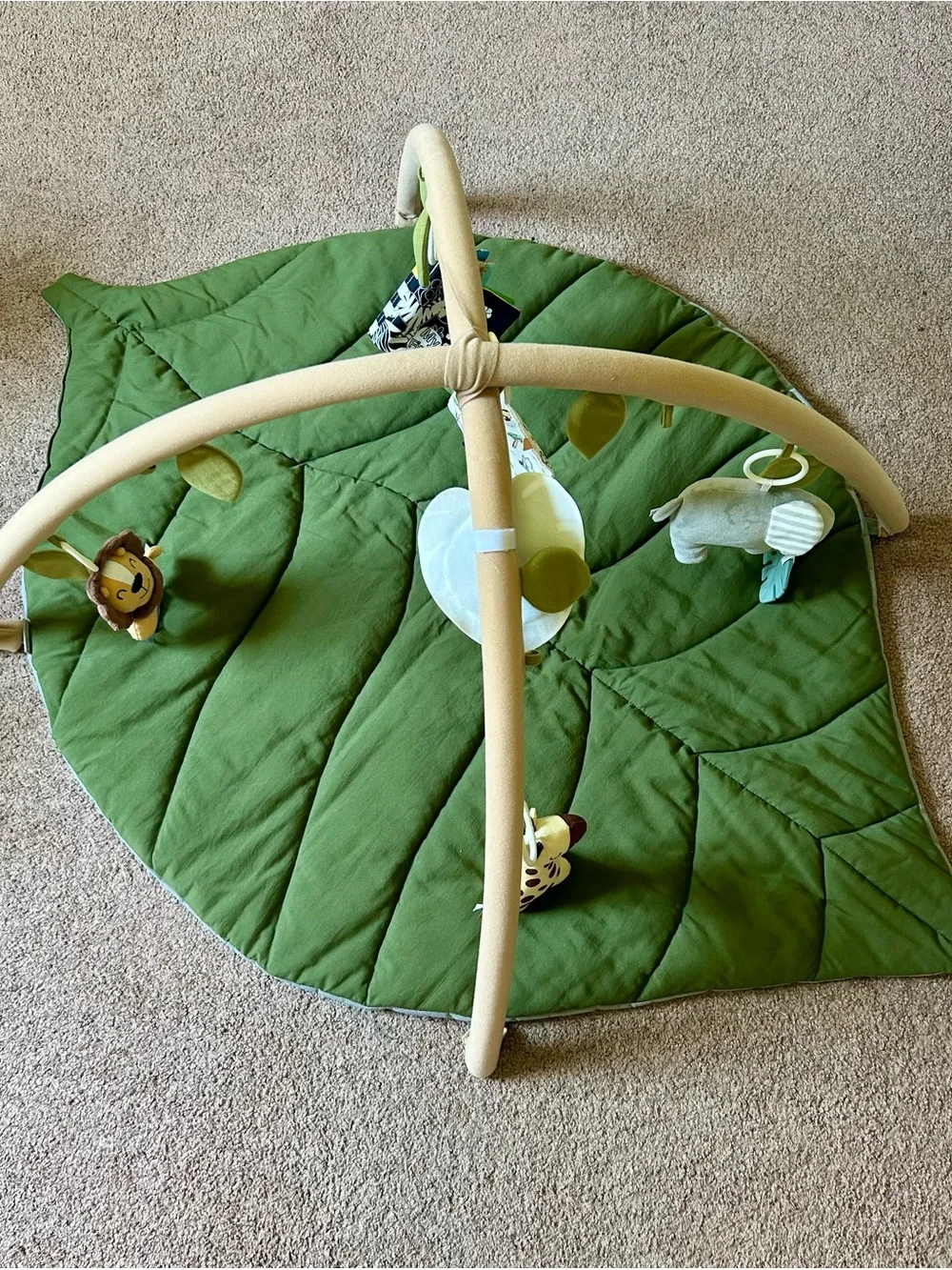 Blissful Diary Baby Play Gym and Activity Mat - 6 Detachable Toys